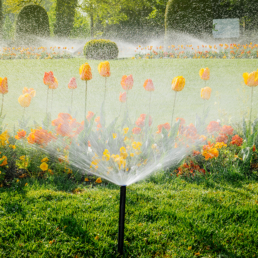 5 Simple Irrigation Tips That Save Water and Money